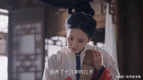 狐雁电视剧在线观看,穿越时空的浪漫传奇  第2张